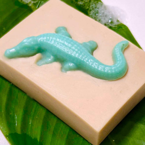 New from the tropical north