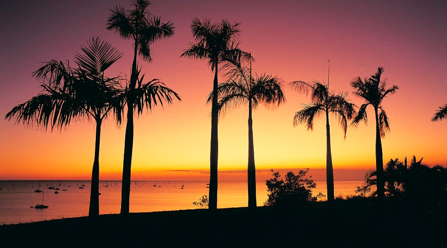 Sunset Shopping for the Festive Season