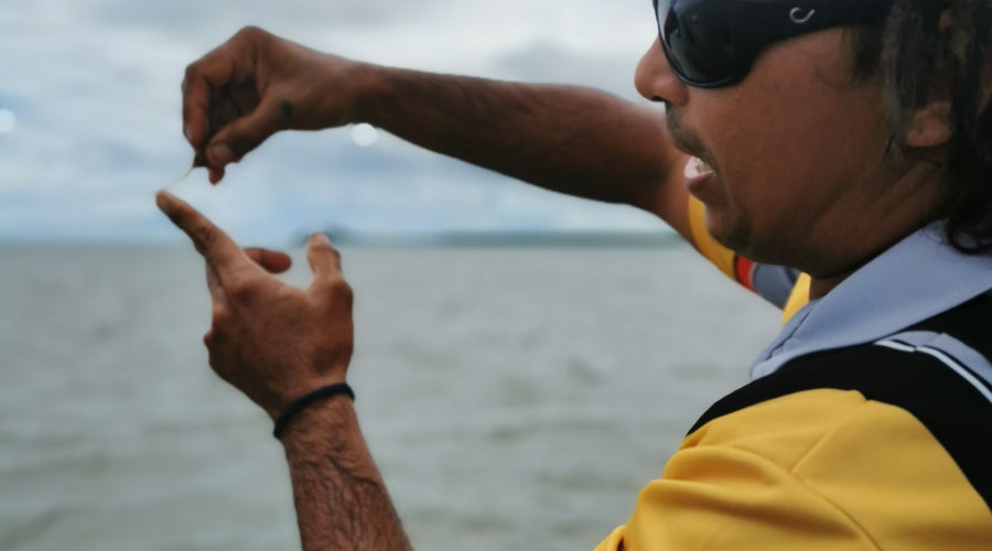 Where time goes by: Webster goes Walkabout