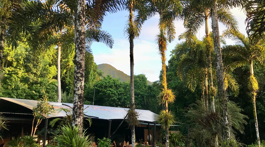 Daintree Spaces - 2023