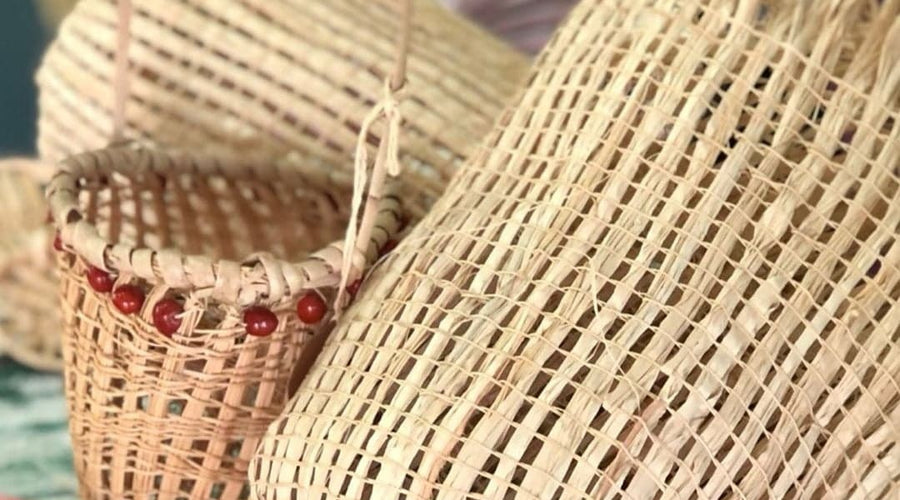 Celebrating: Conventions, Carnivales & Circles