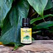 Load image into Gallery viewer, Indigiearth: Lemon Myrtle Oil