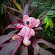 Load image into Gallery viewer, Jedess: Koala Wamin in Bloom