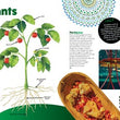 Load image into Gallery viewer, Deadly Science: How Plants Thrive Book