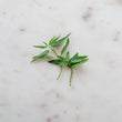 Load image into Gallery viewer, Warndu: Spices - Aussie Wild Mint