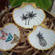 Load image into Gallery viewer, Seashells & Co: Pineapple