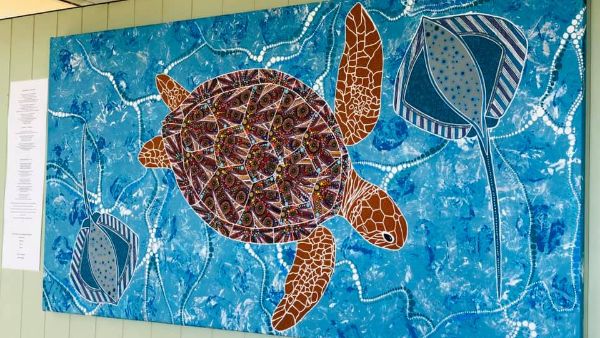 Time to Open: A Turtle Approach – MK Eco by Starwin