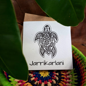 Phylly x Nurturing Nature Cards: Turtle