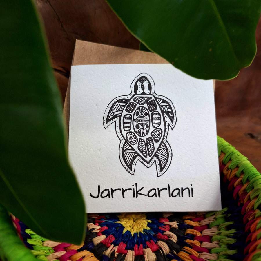 Phylly x Nurturing Nature Cards: Turtle