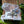 Load image into Gallery viewer, Island TYM gift box
