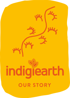 Indigiearth: Quandong Facial Oil