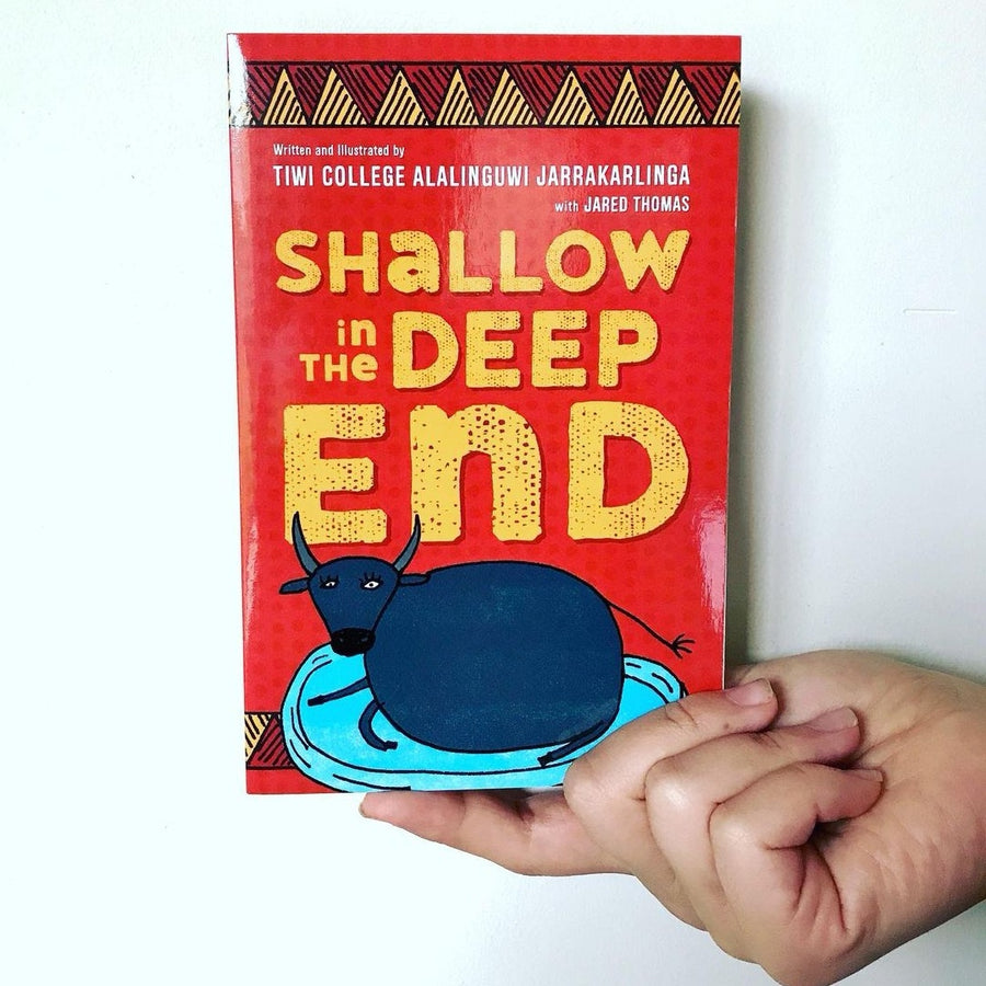 Shallow in the Deep End Book