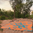Load image into Gallery viewer, Recycled Mats - Sand Goanna
