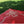 Load image into Gallery viewer, Recycled Mats - Tracks Red
