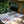 Load image into Gallery viewer, Recycled Mats - Emu &amp; Kangaroo Runner - Burgundy
