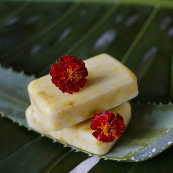 Starwin Social Enterprise, Kaizis Coconut Oil - Aloe Vera & Marigold Soap